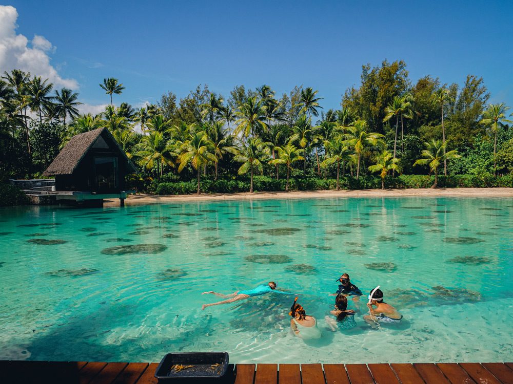 WeCareForCoralPreservation_Square