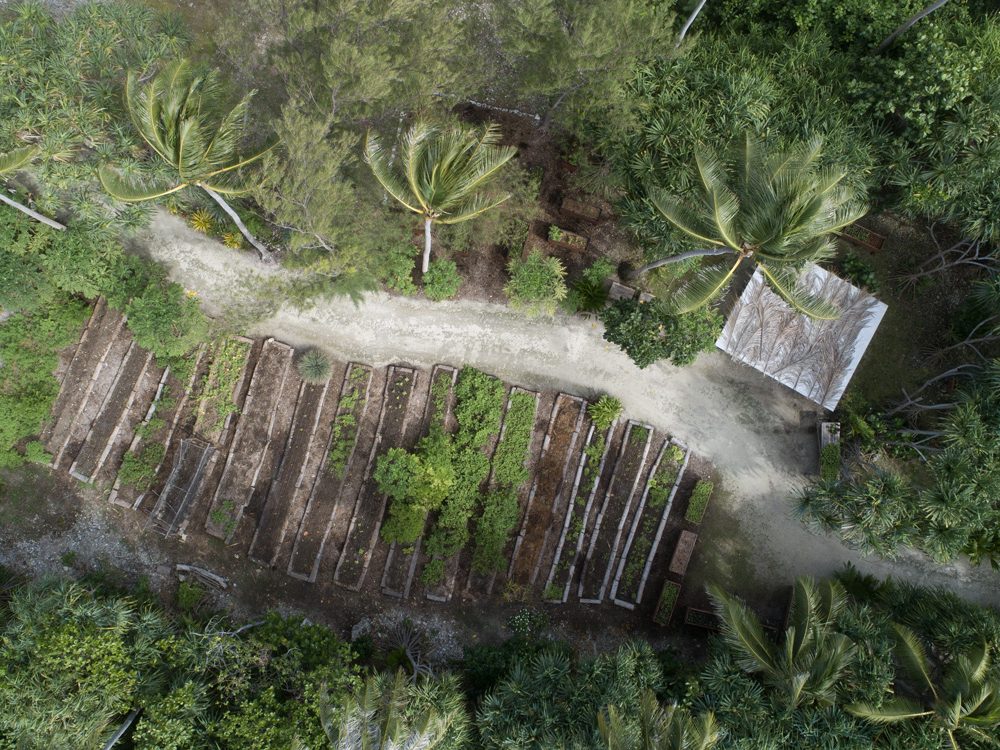 WeCareForNaturalProducts_Square